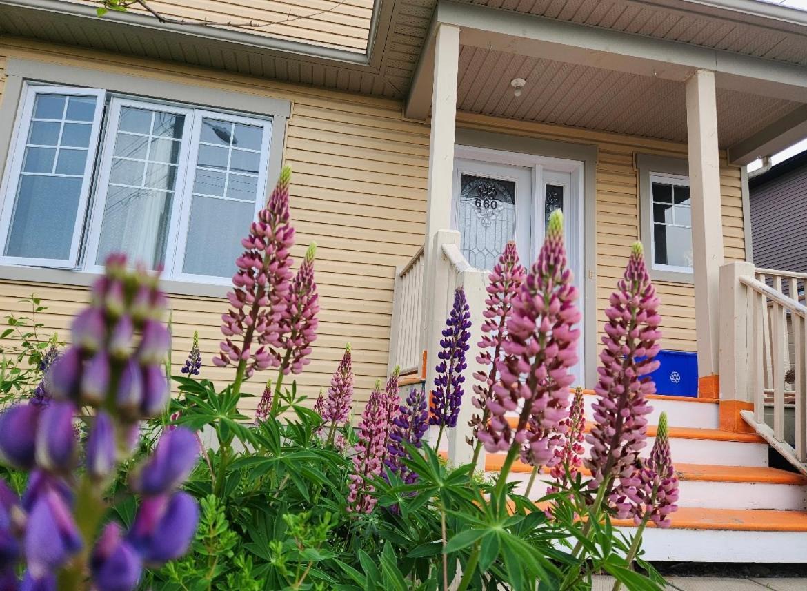 Maison Chaleureuse, Energetique Et Florale Sherbrooke Eksteriør bilde